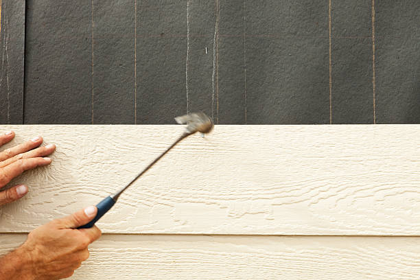 Best Custom Trim and Detailing for Siding  in Burley, ID